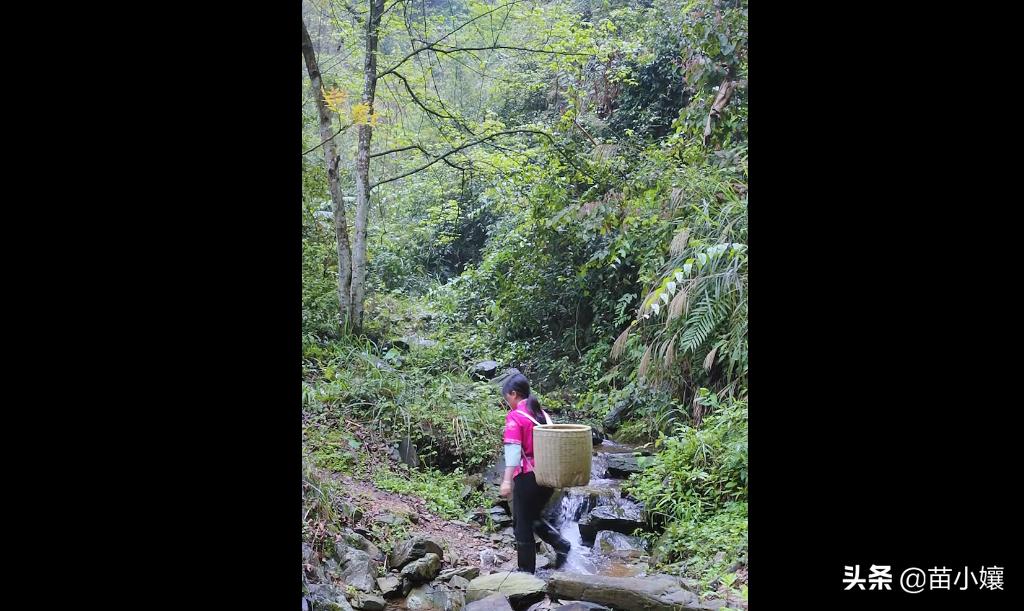 黔东南苗族特色美食药膳,黔东南苗族侗族自治州的特色美食
