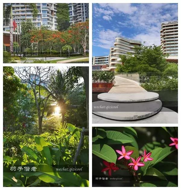 三亚jw万豪旁边,jw万豪三亚大东海