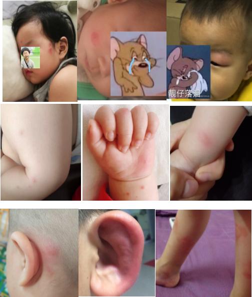 成人10款蚊帐良心测评,最好用的蚊帐测评