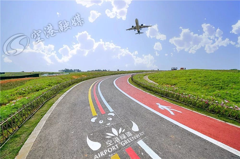 成都空港花田什么时候去最好看,双流空港花田这两天去好耍不