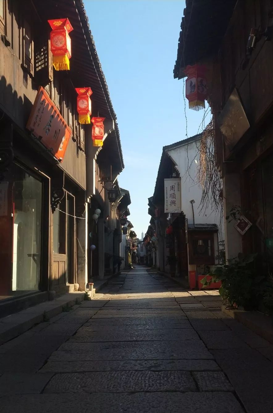 一家平淡无奇的宠物店,一家宠物店里的动物