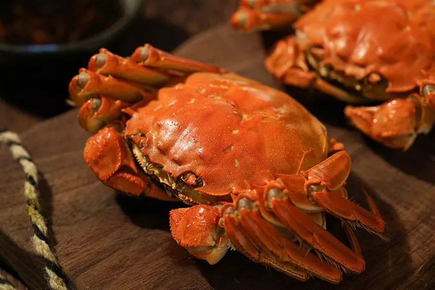 如何举办一场风雅的蟹宴,怎样在家举办一场风雅的蟹宴