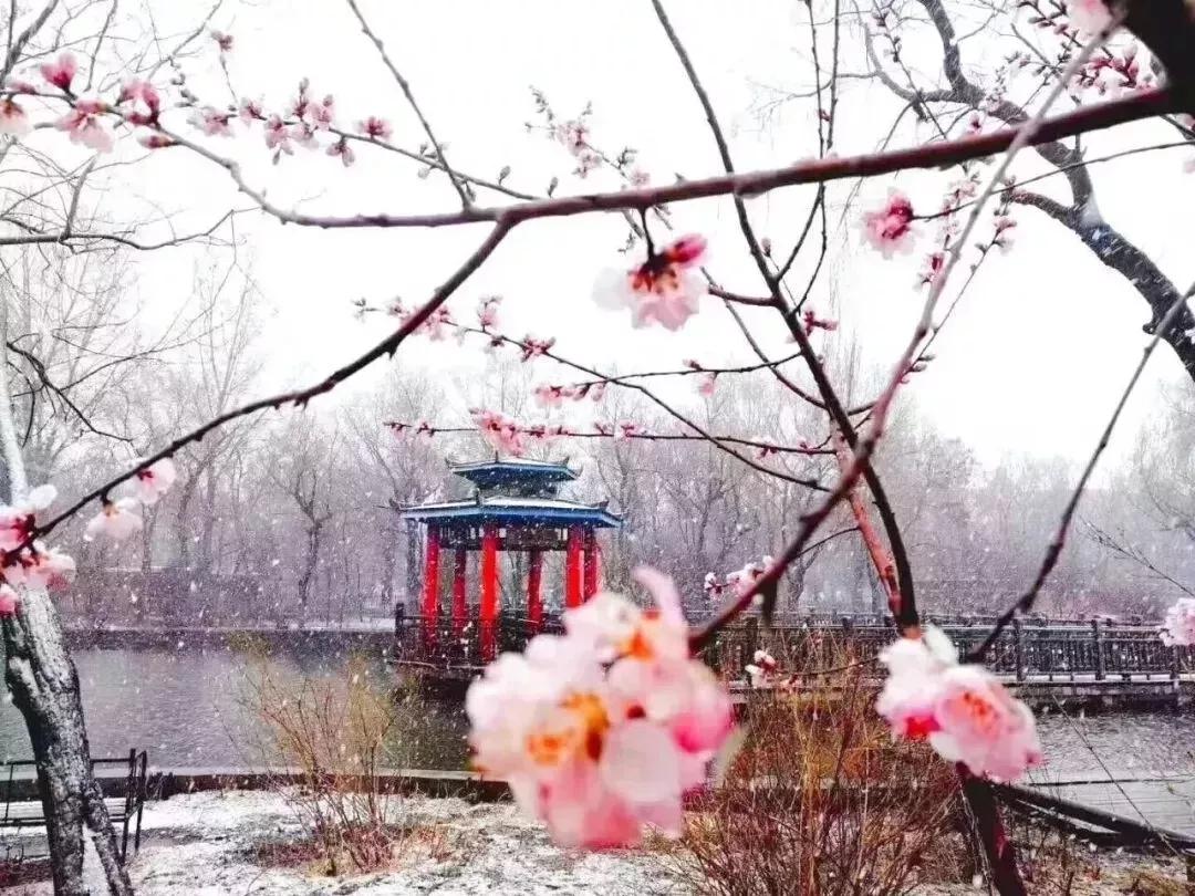 沈阳化工大学辽宁省排名,沈阳化工大学2020招生计划辽宁省