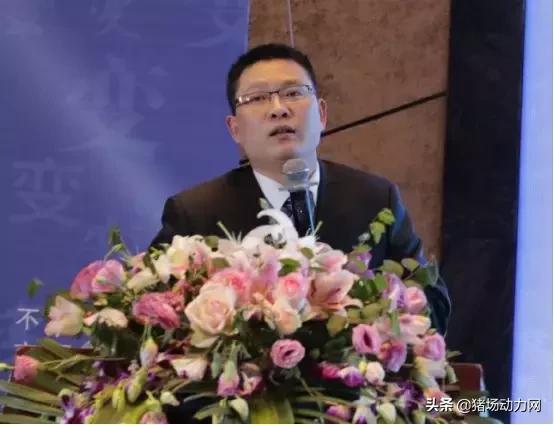 加农正和健力源,加农正和产品