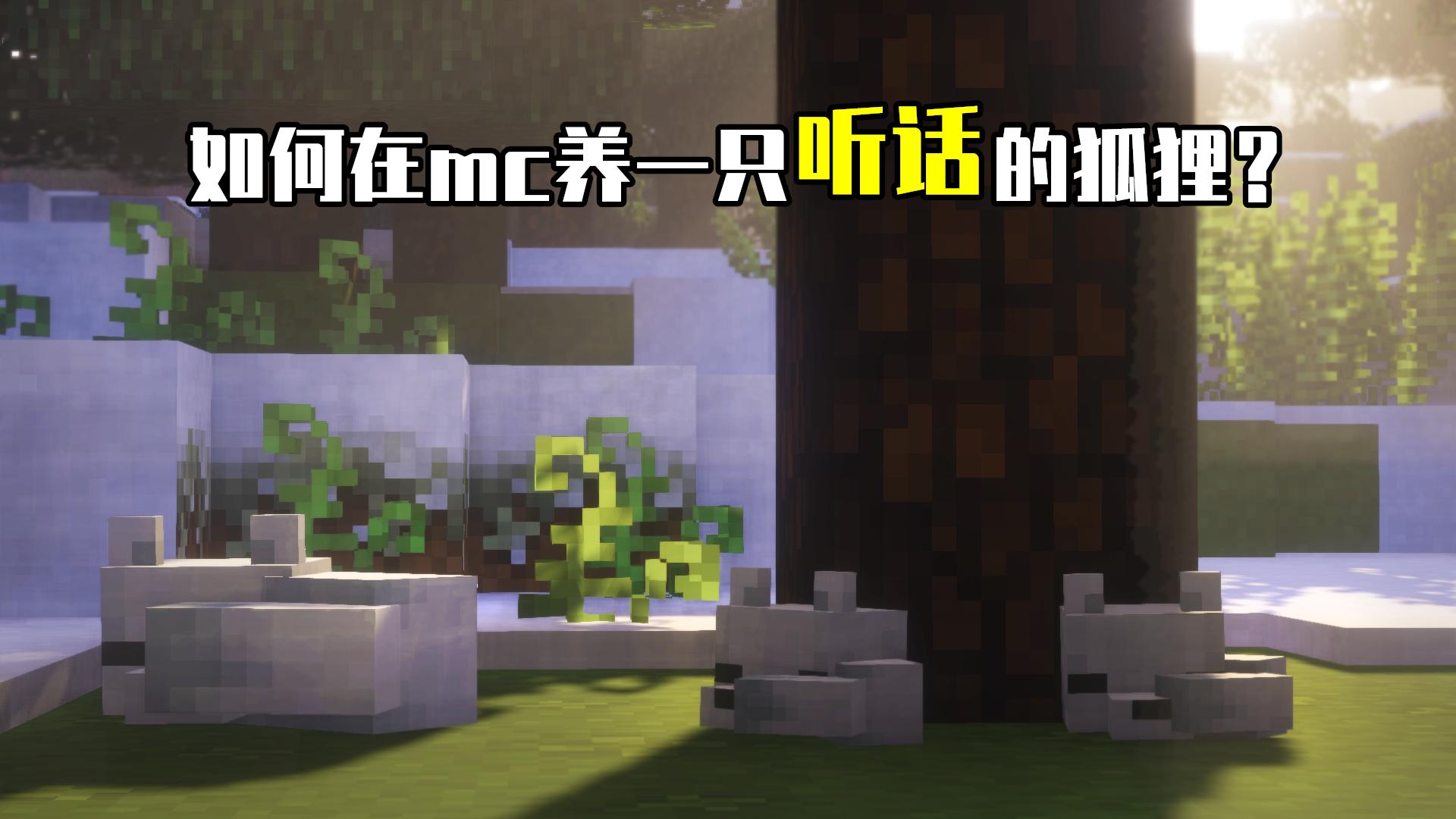 怎样在MC驯服更多动物,在mc里面怎么驯养动物