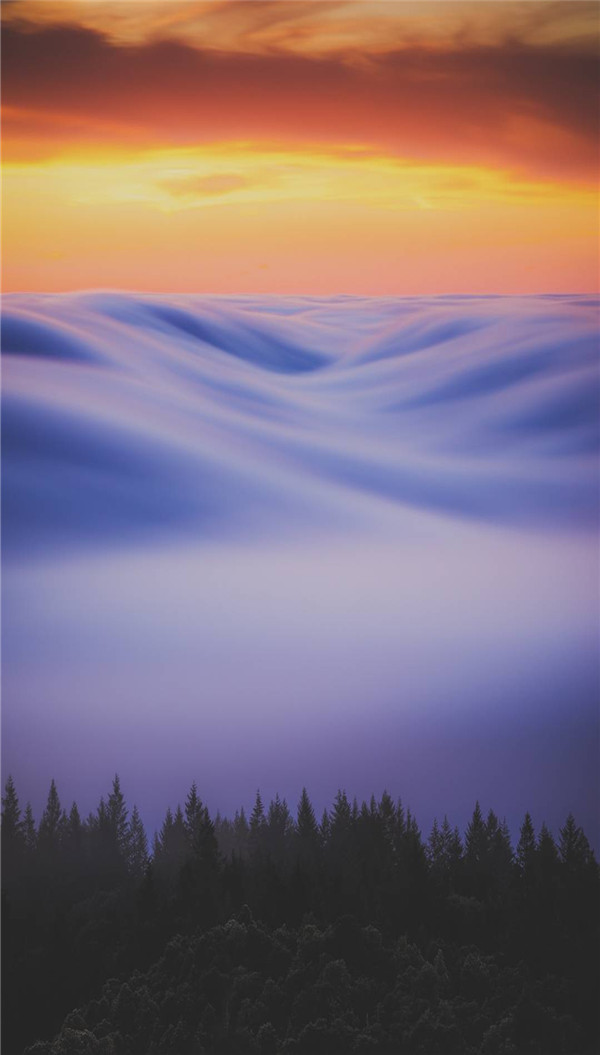 送你一张绝美壁纸,送你一张超美竖屏壁纸