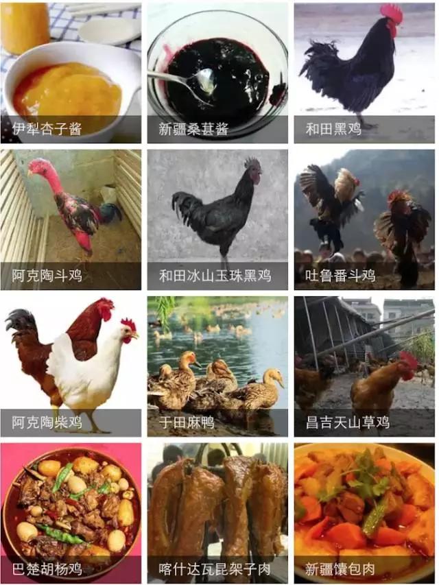 南北疆的特产有哪些,盘点十大新疆的特产