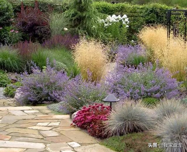 教你们一些特别实用的栽花小技巧,栽花有没有什么方法让它活得更好