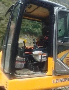 在野外发现甘蔗,在山里发现甘蔗