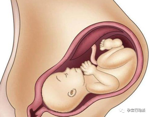 孕期周刊，第三十五周