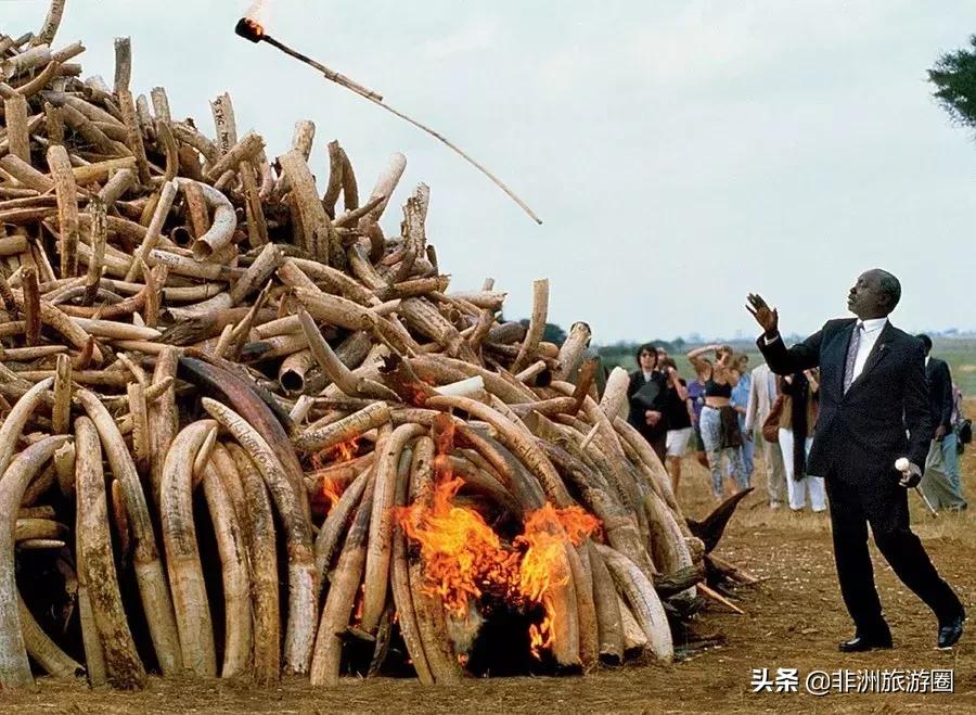 15个你不知道的颜色冷知识,10条你不知道的韩国冷知识