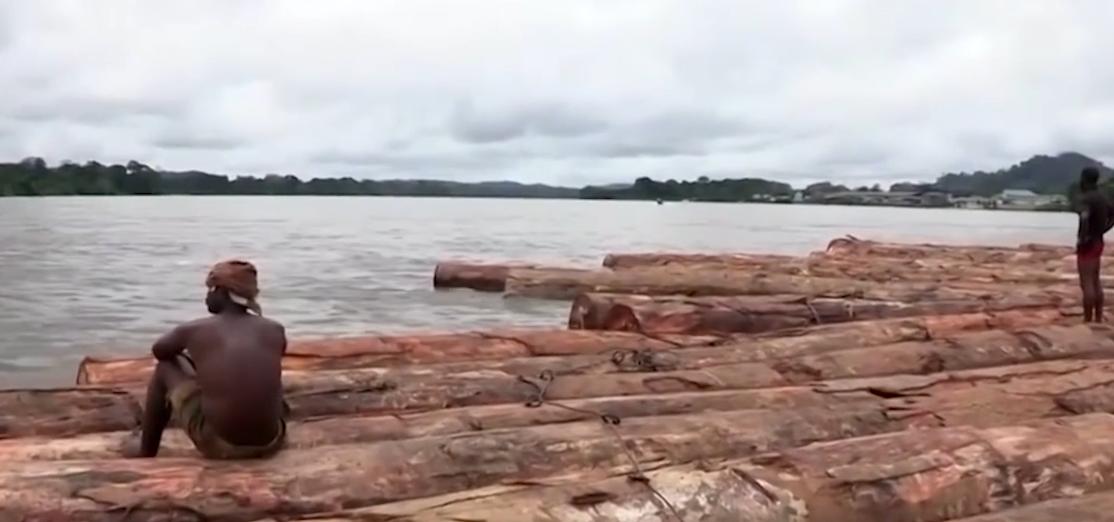 纪录片：太危险！非洲人工原木运输月薪5000元，重卡司机却是一万