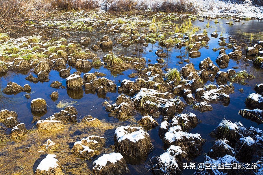 在莫尔道嘎，我遇见了最美的秋雪