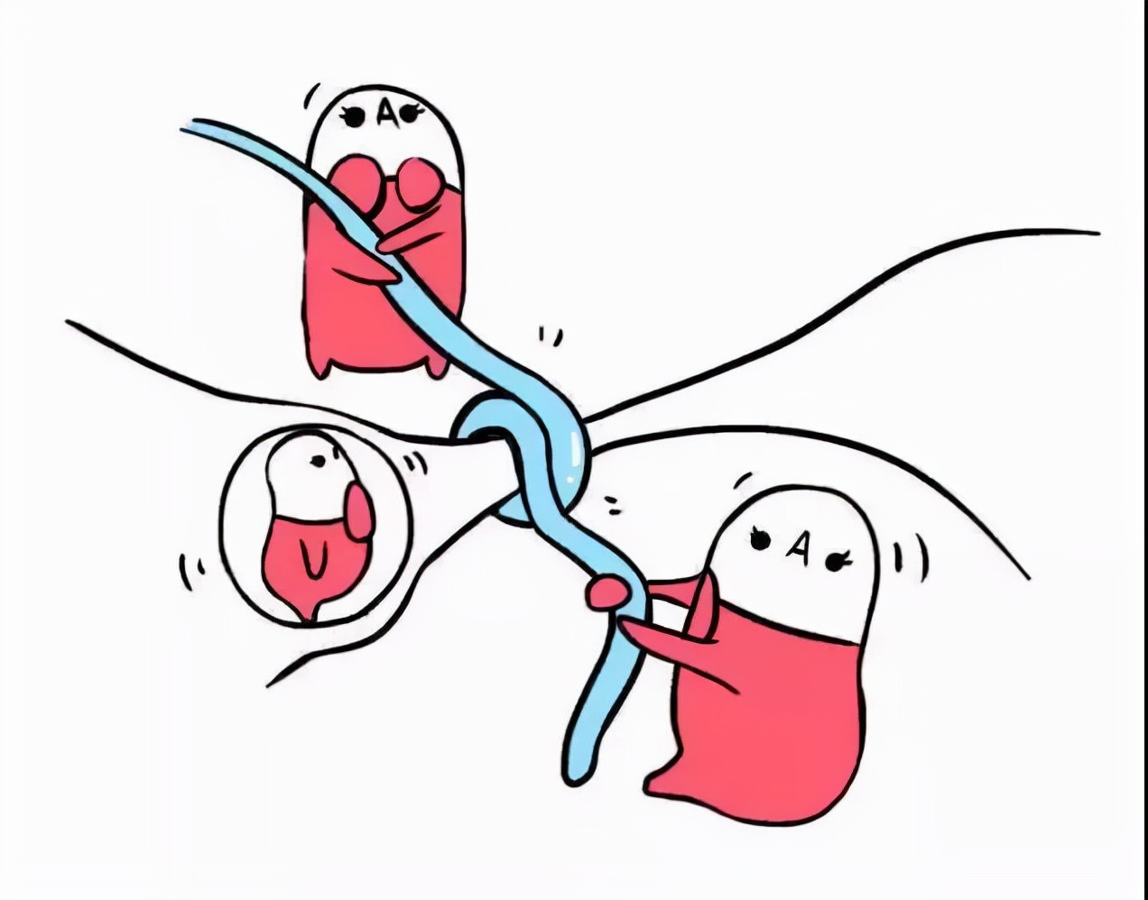 世界避孕日避孕这回事你了解多少,世界避孕日活动注意事项