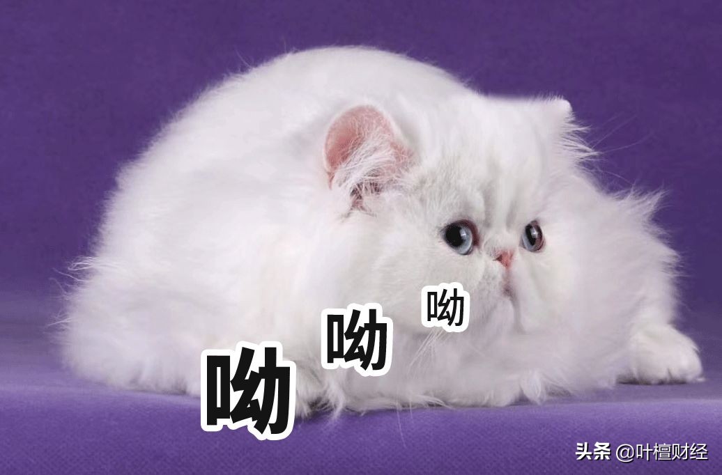 叶檀股票投资思维,叶檀股市思维