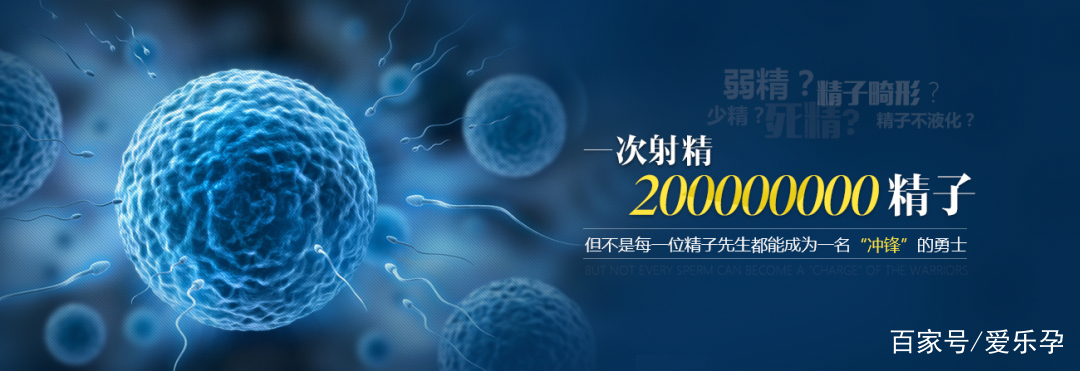 100个精子有20个正常精子有问题吗,严重少精子症只有十几个精子