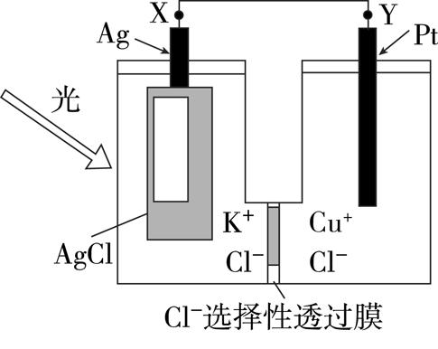 2023届高三一轮复习联考化学,2022高考化学总复习优化探究