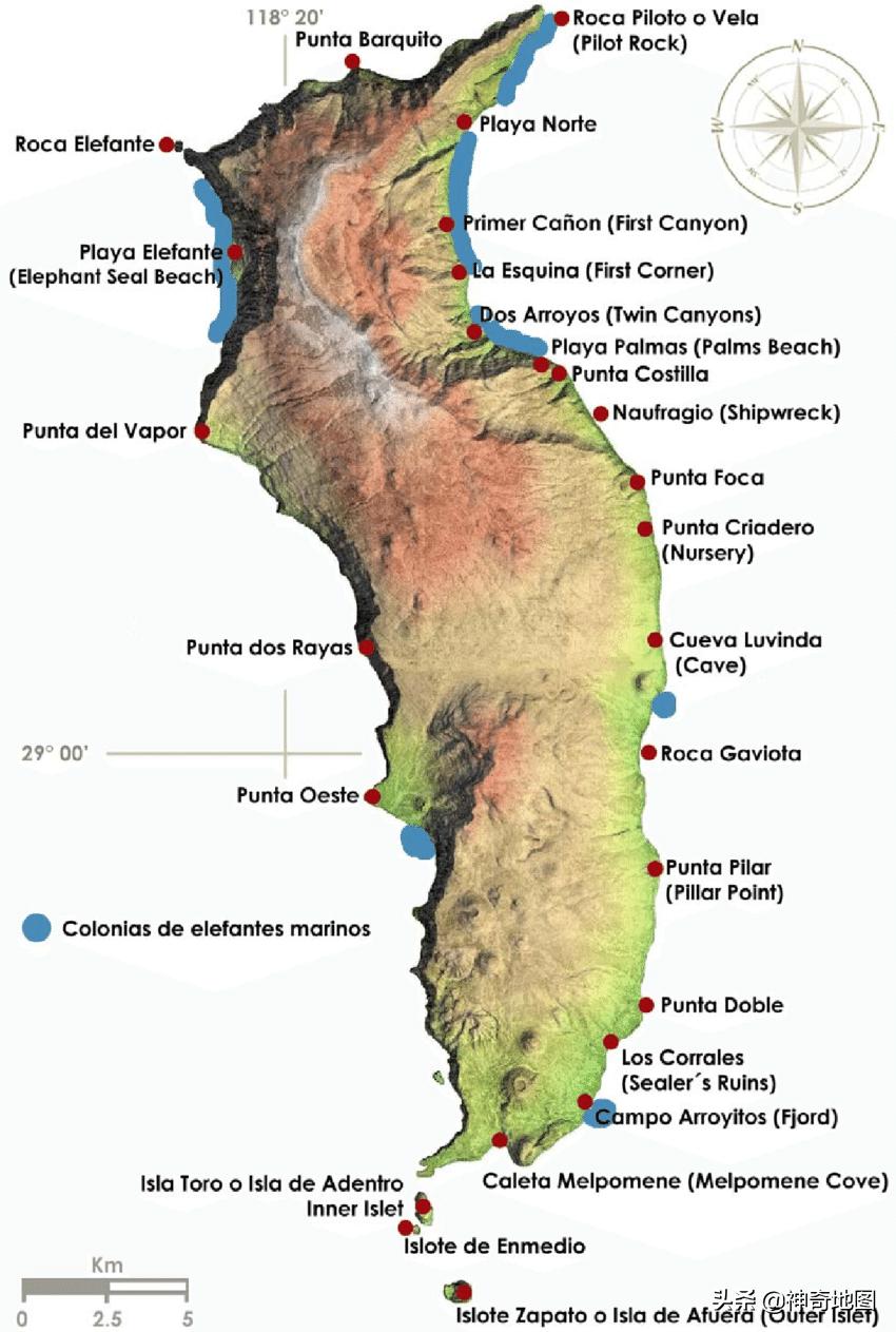 乱谈岛屿,102岛上的宝藏（TreasureontheIsland）