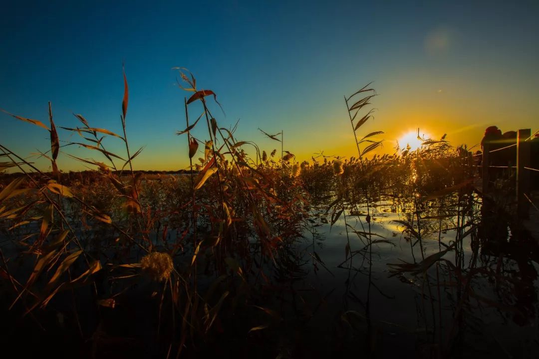 额济纳戈壁滩记录,额济纳戈壁滩沙漠