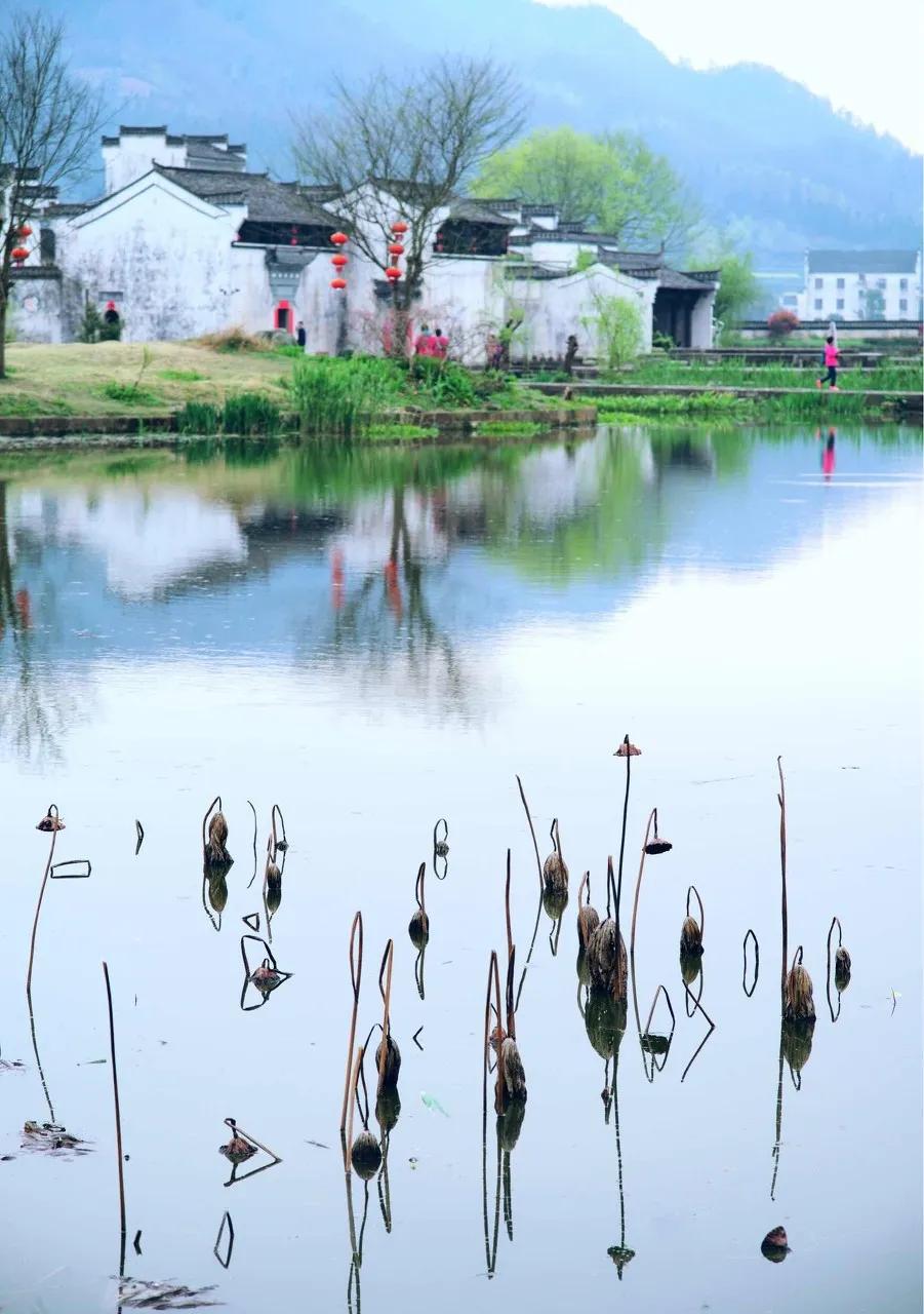 安徽春天美丽的视频,安徽美丽的春天