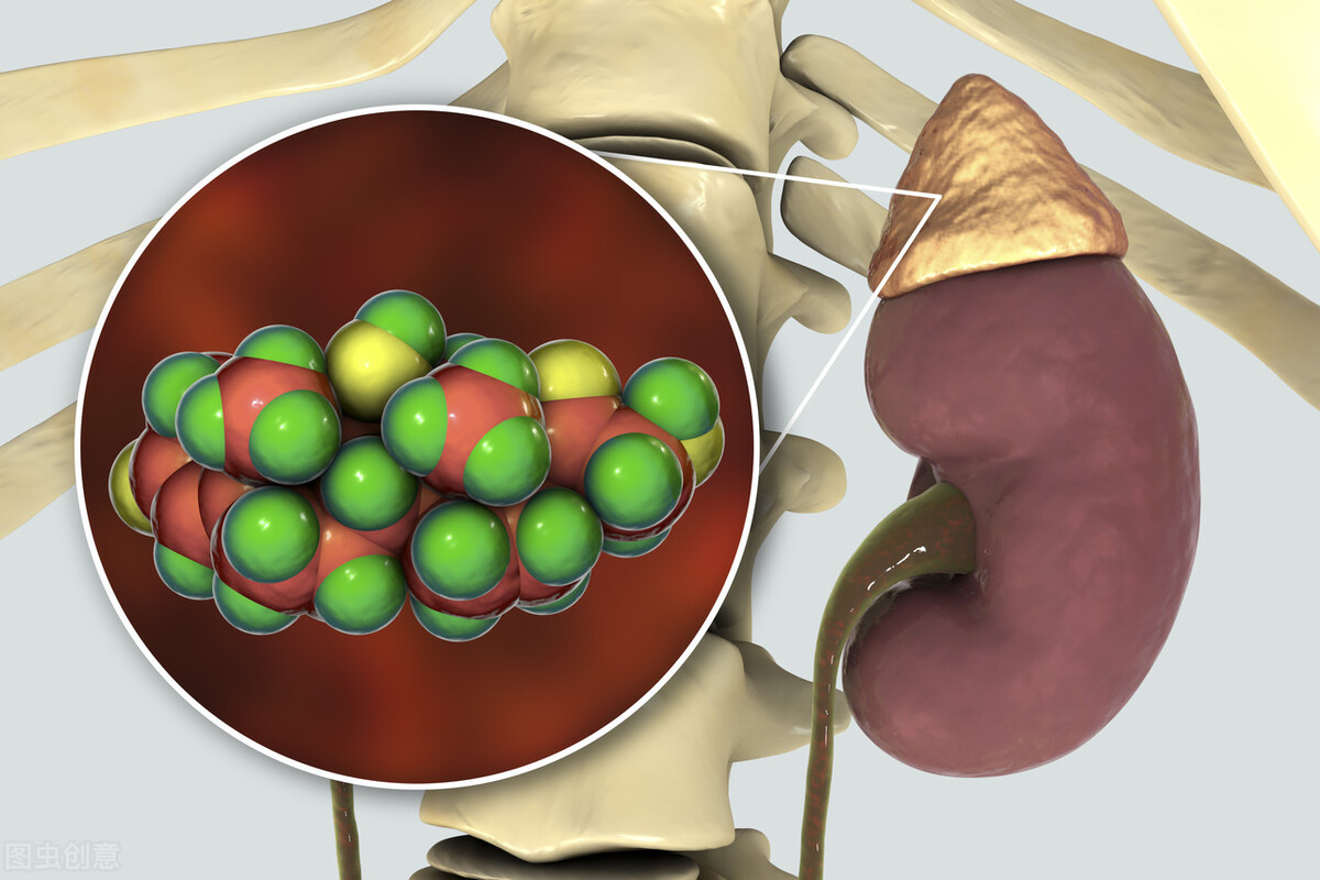 教你如何看懂尿常规报告,手把手教你看懂尿常规