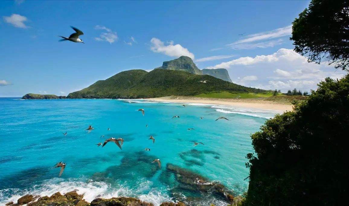 2019世界最佳旅行目的地孤独星球,豪勋爵岛旅游