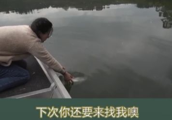 濂藉澶у摜閽撻奔瑙嗛,濂藉澶у摜