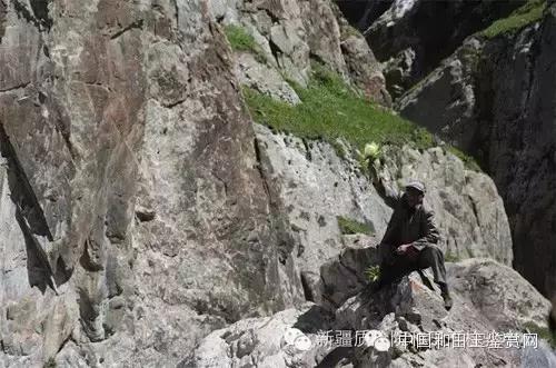 玛纳斯探奇之旅,新疆探秘伊犁