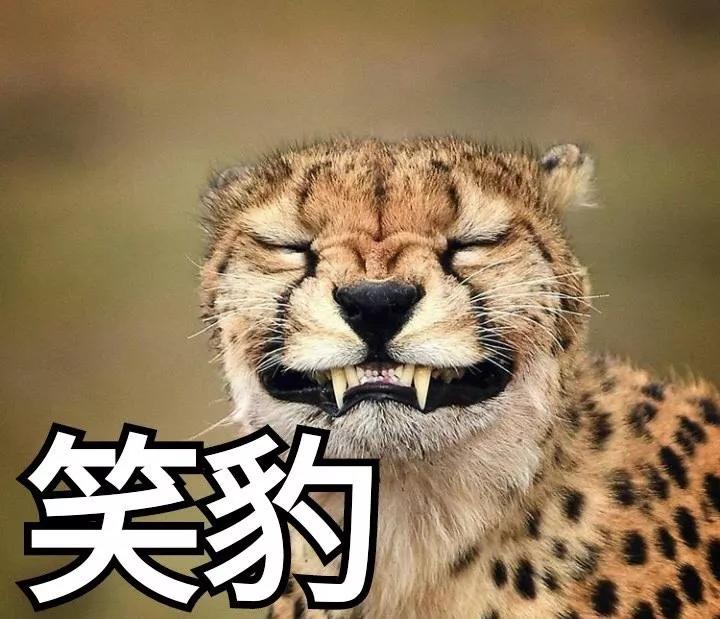 日本中二招式,日本的中二之魂