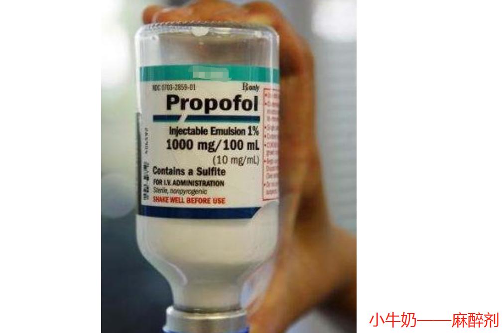 “谢谢了，我不喝牛奶”，产妇分娩闹笑话，产房暗语听不懂贼尴尬