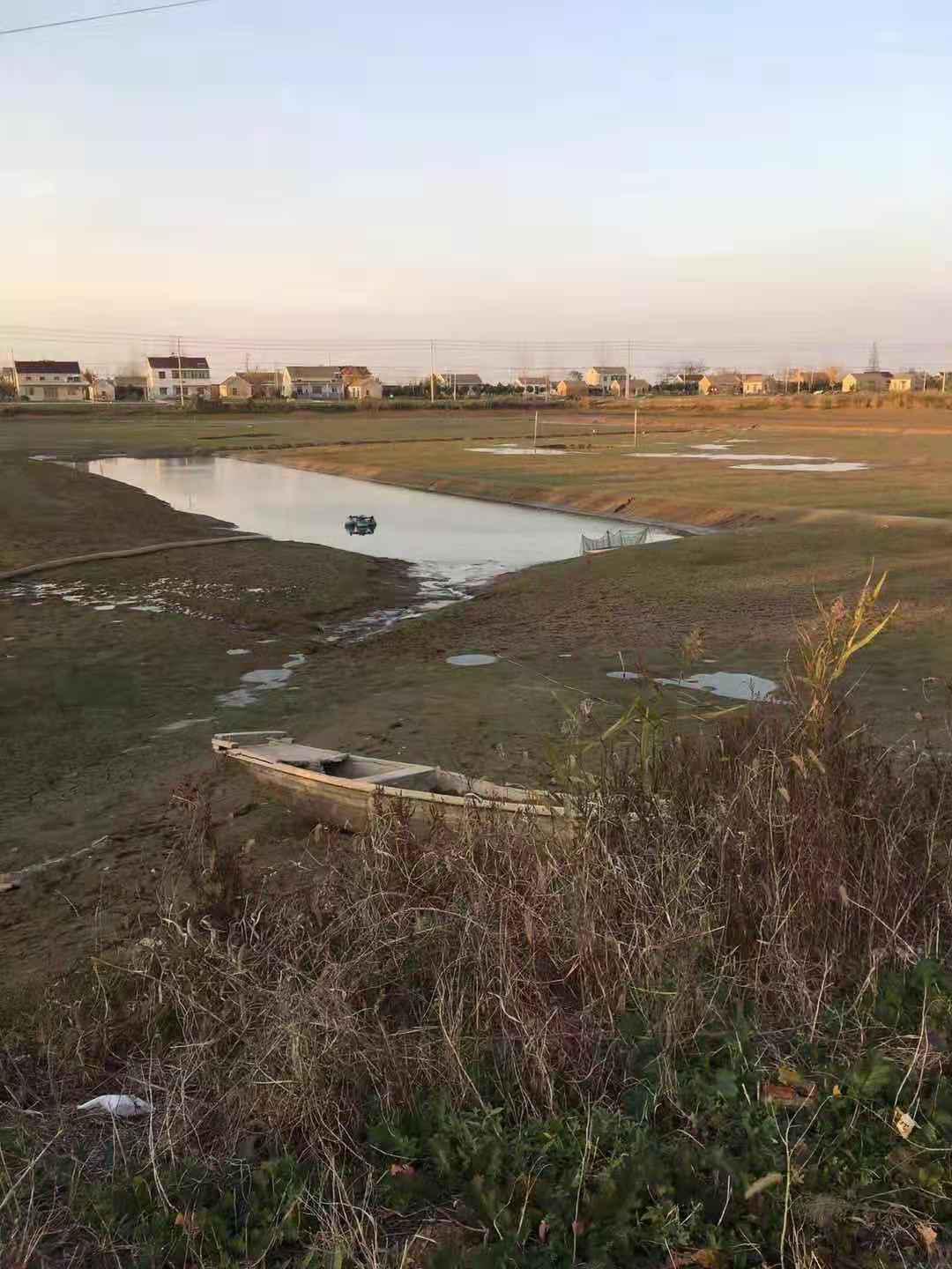 水产养殖鲫鱼鳃出血怎么治疗,鲫鱼鳃出血能用石灰吗