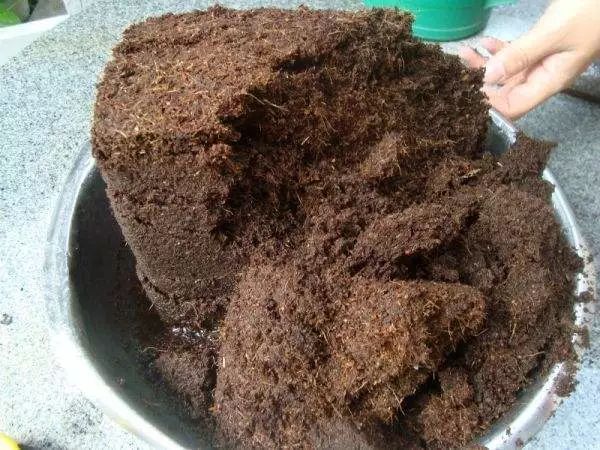 养花配土和种土哪个好一点,养花知识大全及配土