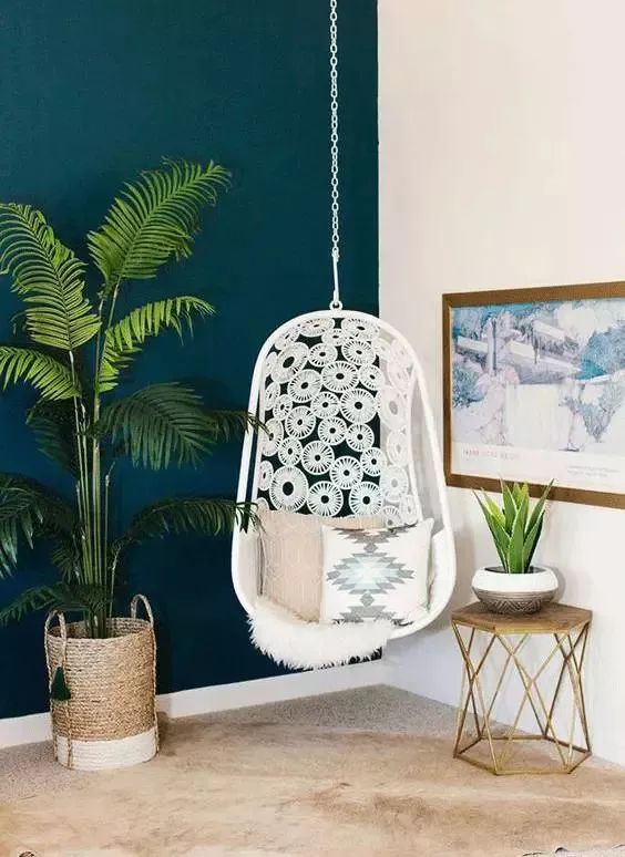 吸油烟和甲醛的植物,住新房有什么植物能去甲醛