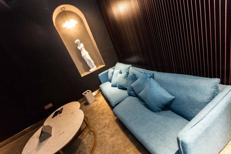 捕时私人影咖,充满艺术感的私人影院真的不来体验吗?