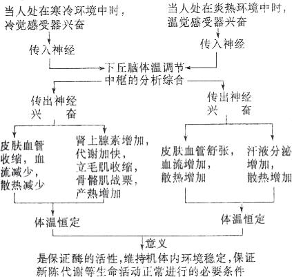 感冒引起的发烧有几个特点,感冒为什么会发高烧就好了