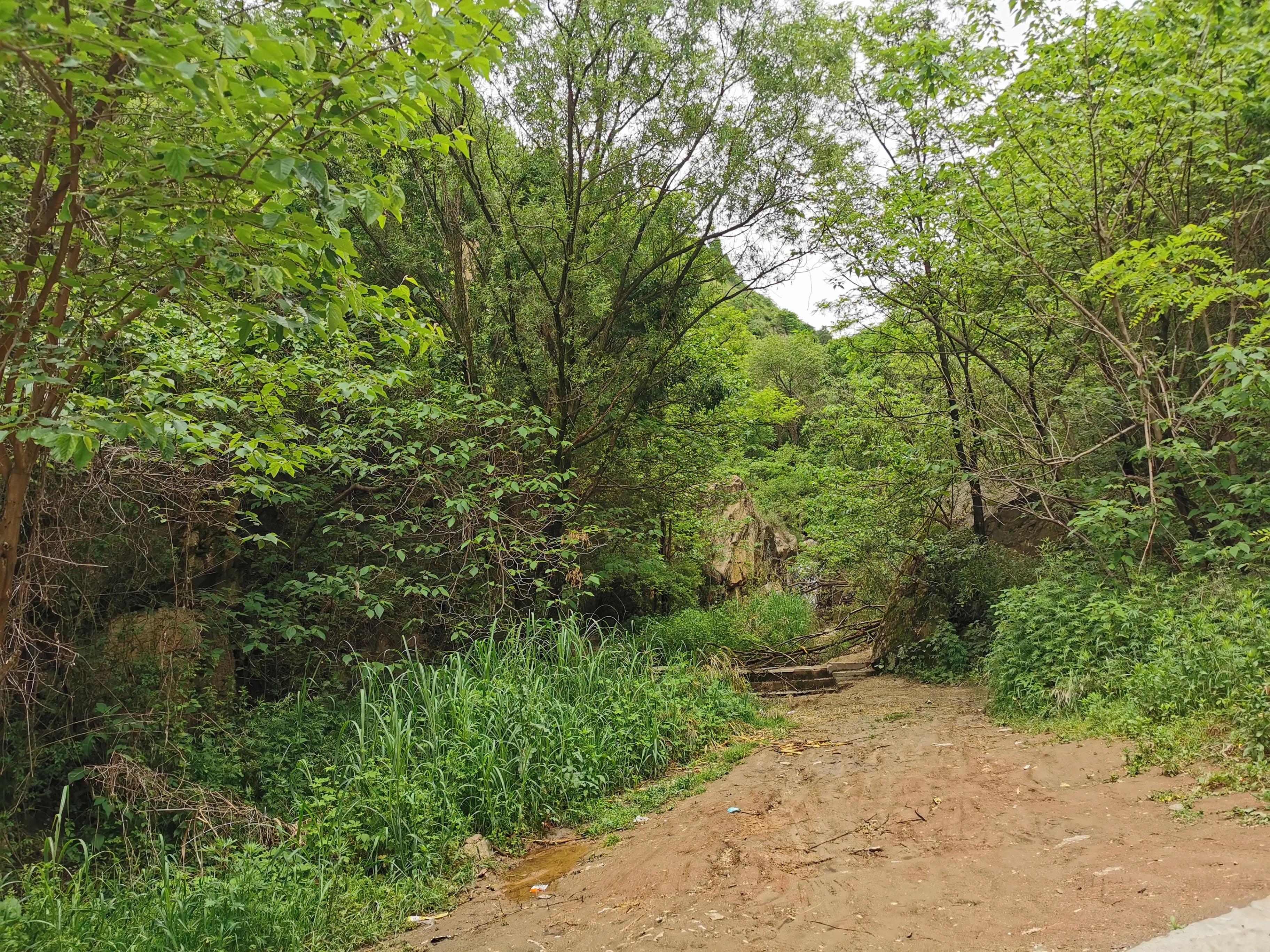 西安洪庆焚书坑儒,洪庆山焚书坑儒