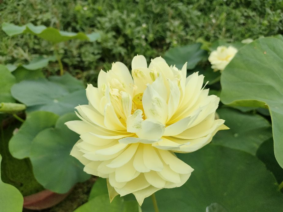 因过竹院逢僧话偷得浮生半日闲,偷得浮生半日闲下一句什么意思