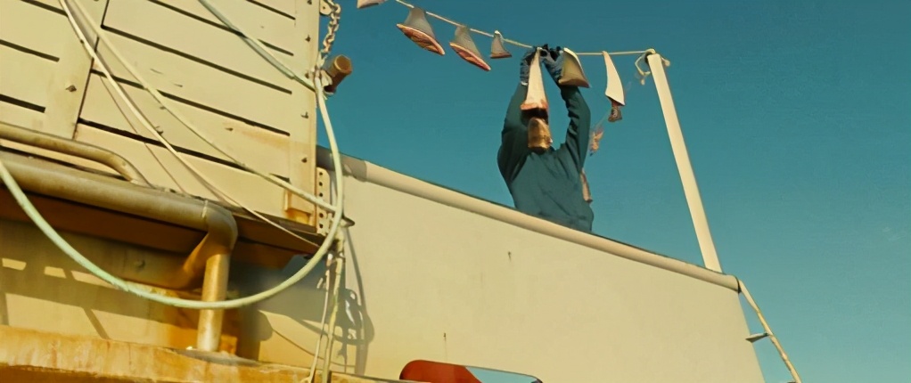 鱼翅是什么玩意儿,鱼翅是啥玩意儿