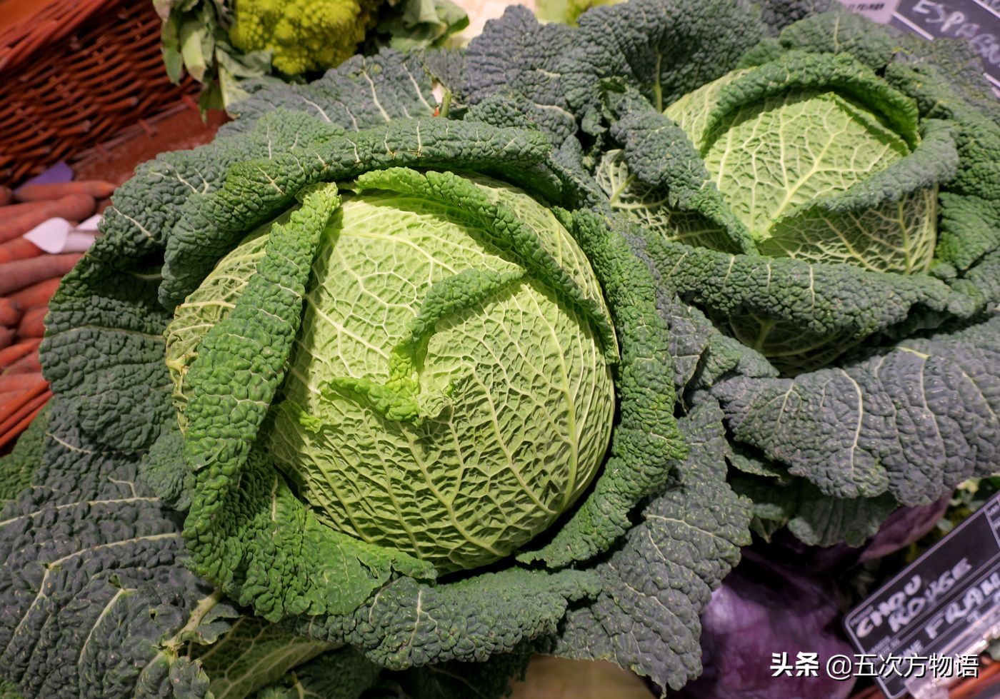 欧洲十大奇怪蔬菜 (欧洲冷门蔬菜)