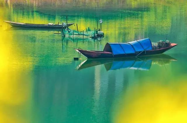 安徽春天美丽的视频,安徽美丽的春天