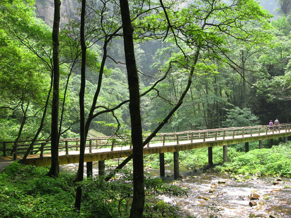 张家界天门山大自然鬼斧神工,到张家界天门山自由行攻略图片
