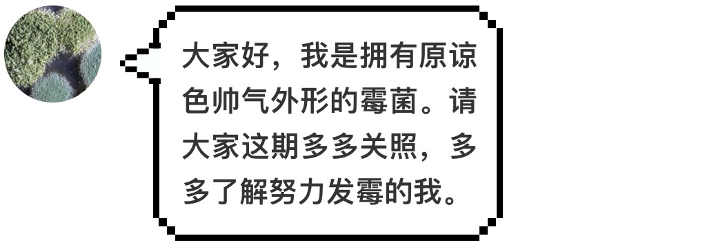 汉堡王又碰瓷麦当劳了,这次用的是发霉的汉堡