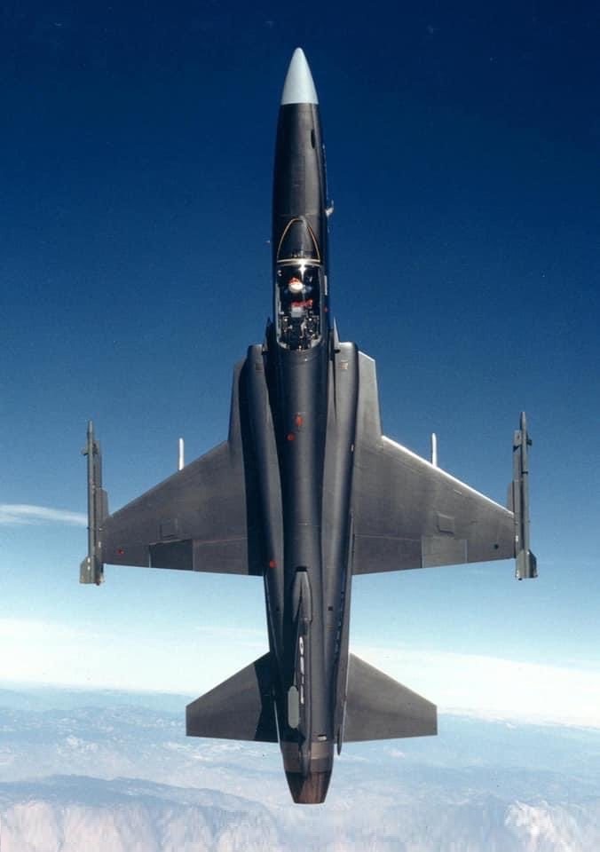 虎鲨悲剧,极富悲剧色彩的虎鲸