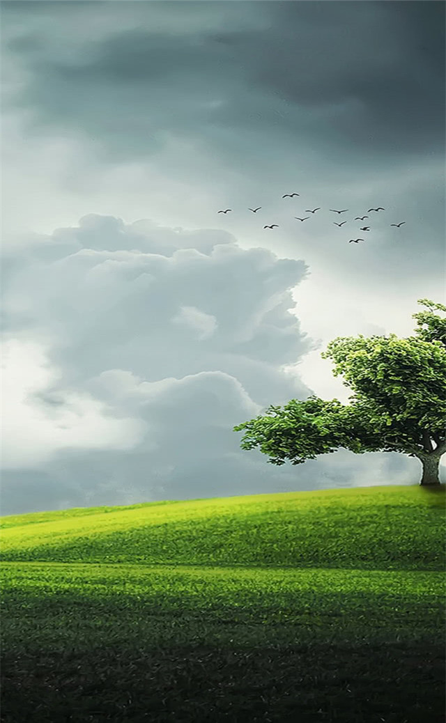 缓解眼睛疲劳壁纸颜色,缓解眼睛疲劳的壁纸高清