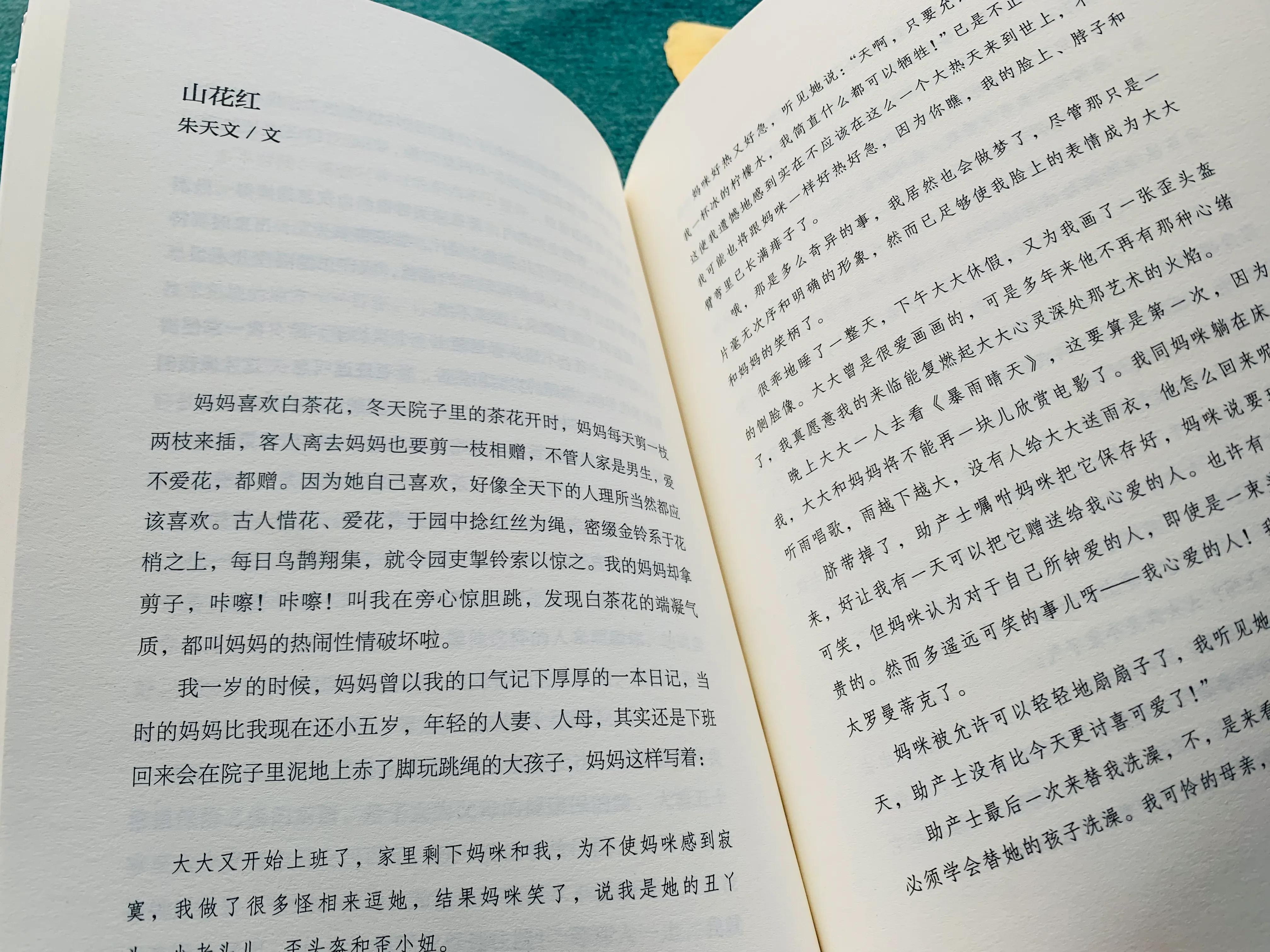 温暖的冬日美文,温暖的冬日散文