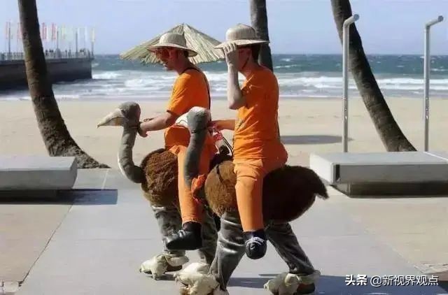 神奇的视觉错位图30张,神奇的错位照片