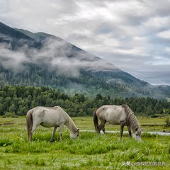 川藏小环线5天,川藏青藏大环线18天行程攻略