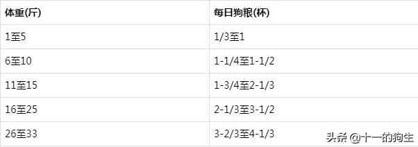 幼犬不知道喜欢吃什么,幼犬不知道吃狗粮