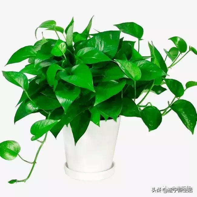 7月秒杀活动,7月带你吃喝玩乐