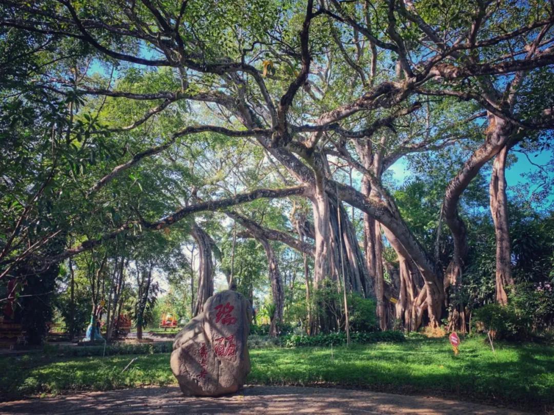 武汉周边自驾一日游小众免费,国内最值得自驾游旅行的地方